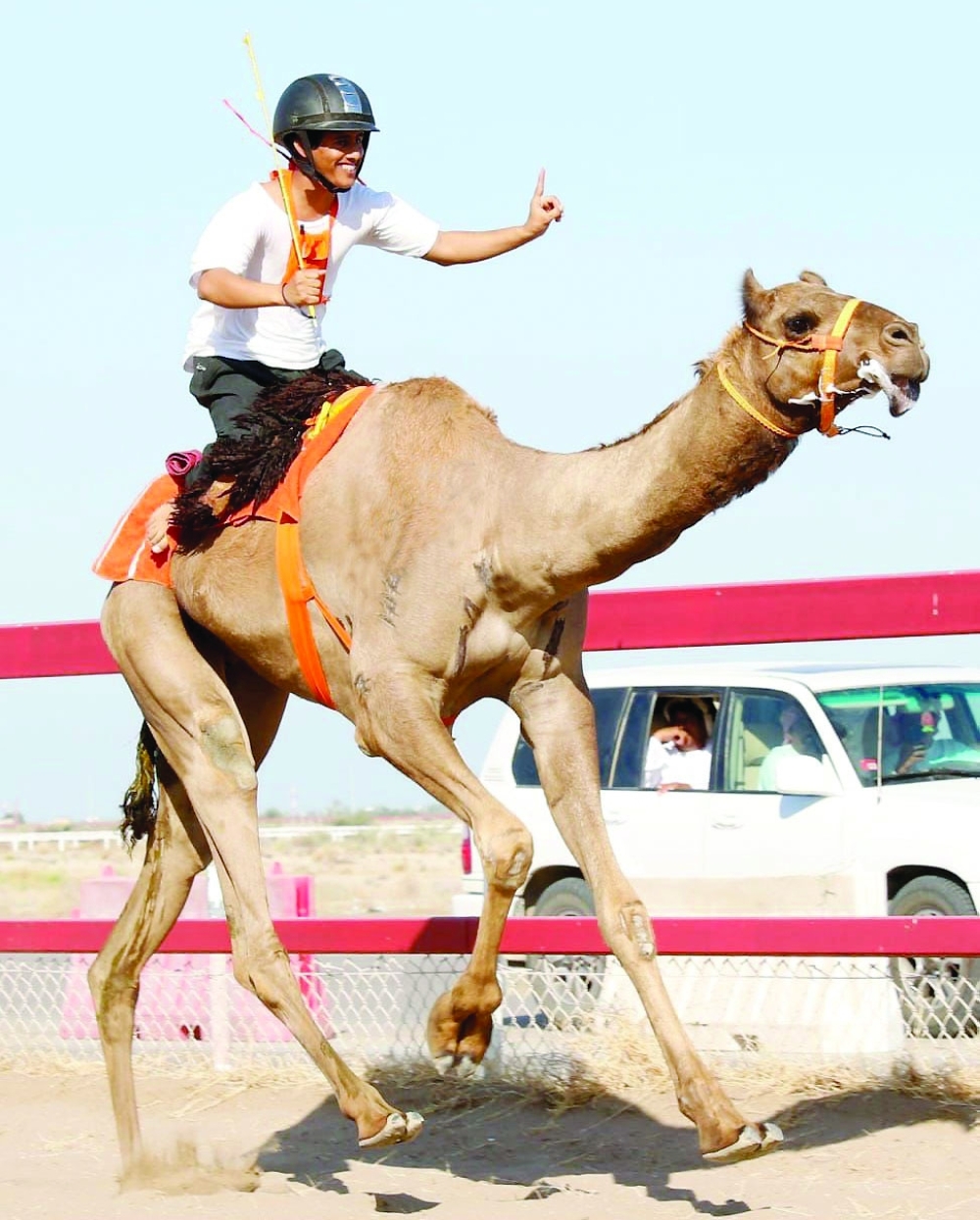 Al Felaj, Al Bashayer conclude second camel race