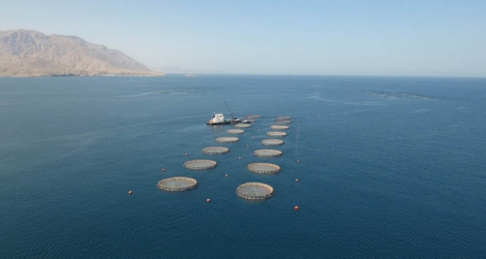 The Sultanate of Oman has a coastline that extends 3,653 kilometres, and it possesses 293 islands.