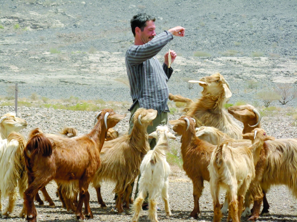 Wilfried Hofmann feeds the animals