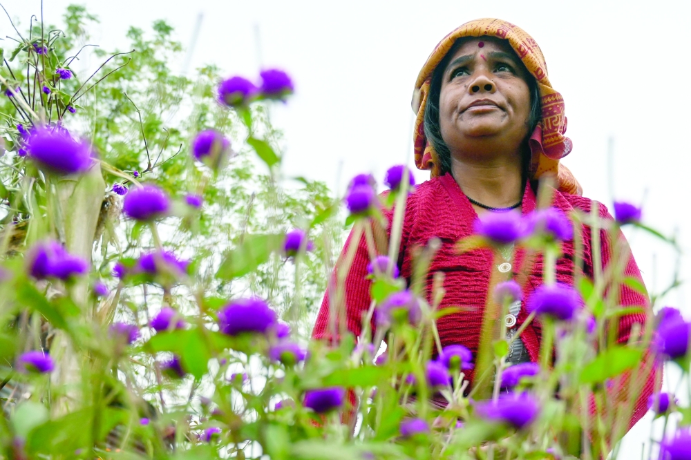 Nepali women's flowering prosperity from garland industry