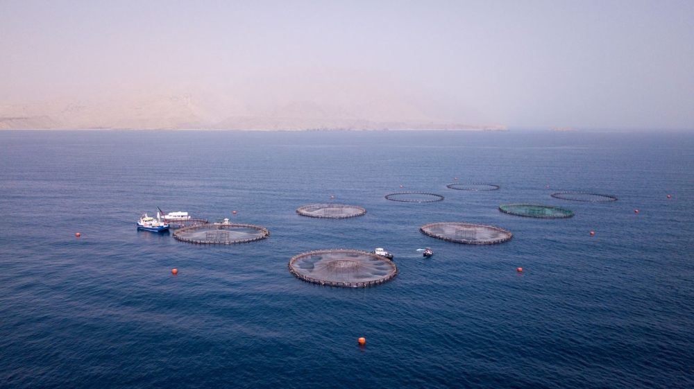 The emerging concept of Blue Economy involves all economic activities related to the seas and oceans.