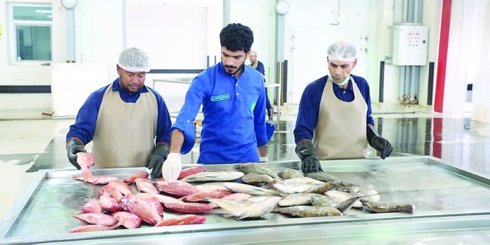Omani fish production reached 793,000 tonnes in 2023.