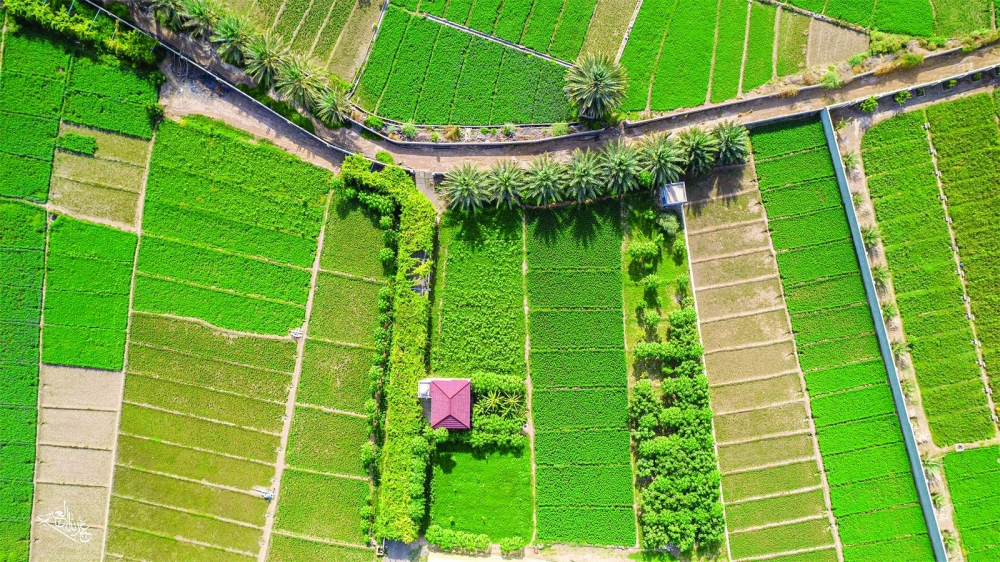 The Agro Oman exhibition, scheduled from December 4 to 6 which will showcase the latest food products, agricultural and marine equipment, as well as greenhouse technologies, hydroponics, and modern irrigation systems.