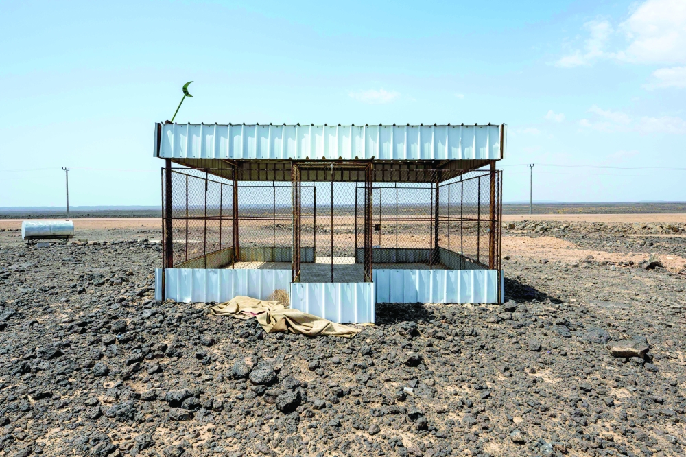 Raneen Festival to open in Muttrah highlighting local and global talents