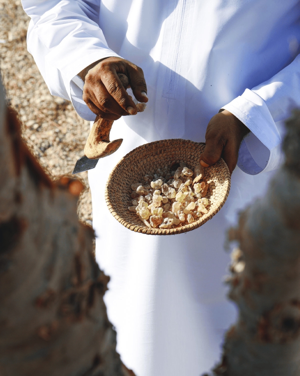 Harvested resins