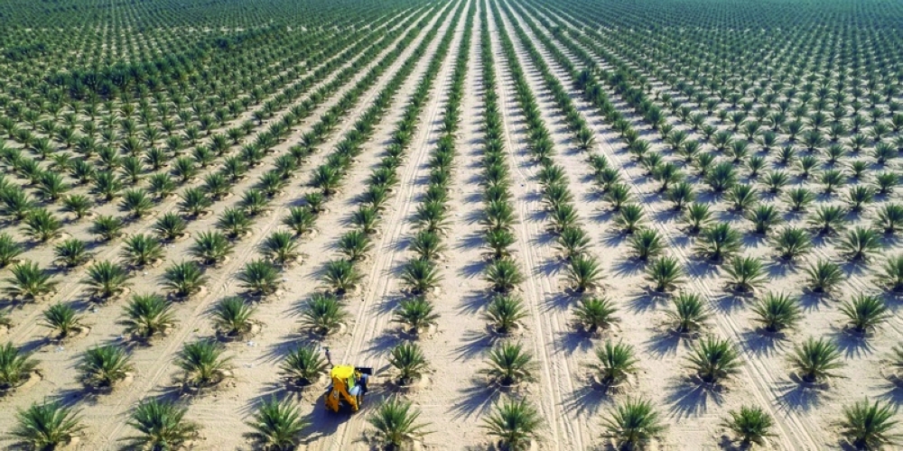 Nakheel Oman organic farm 1
