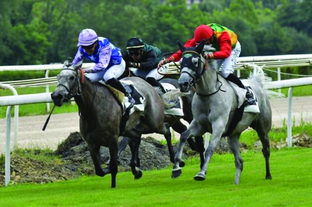 Royal Cavalry wins Sheikh Zayed Cup for Purebred Arabian Horses in Spain