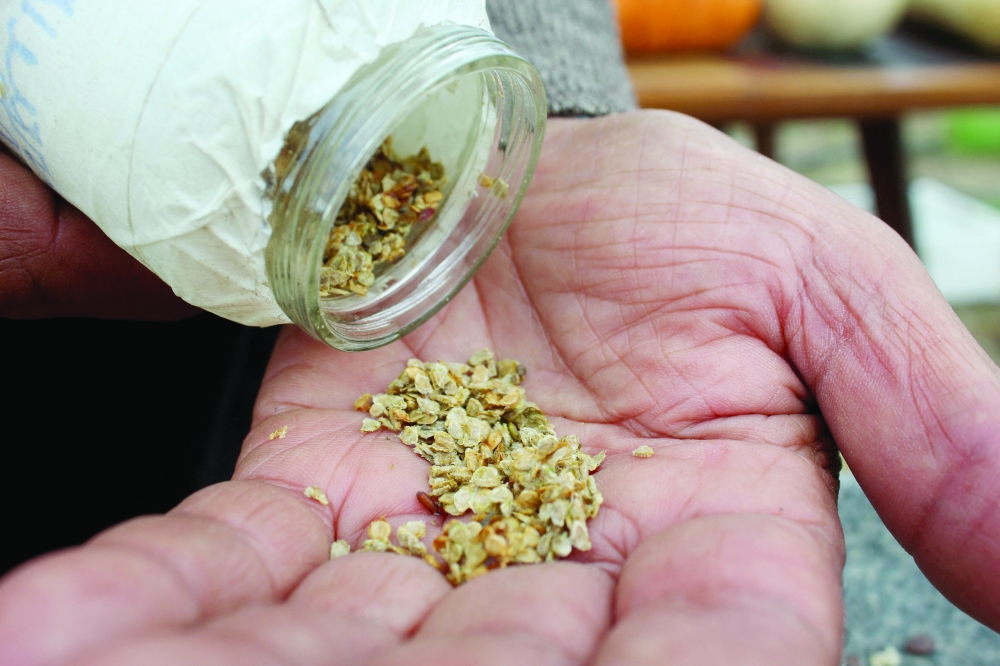 Chile's 'seed guardians' grow and protect forgotten food varieties