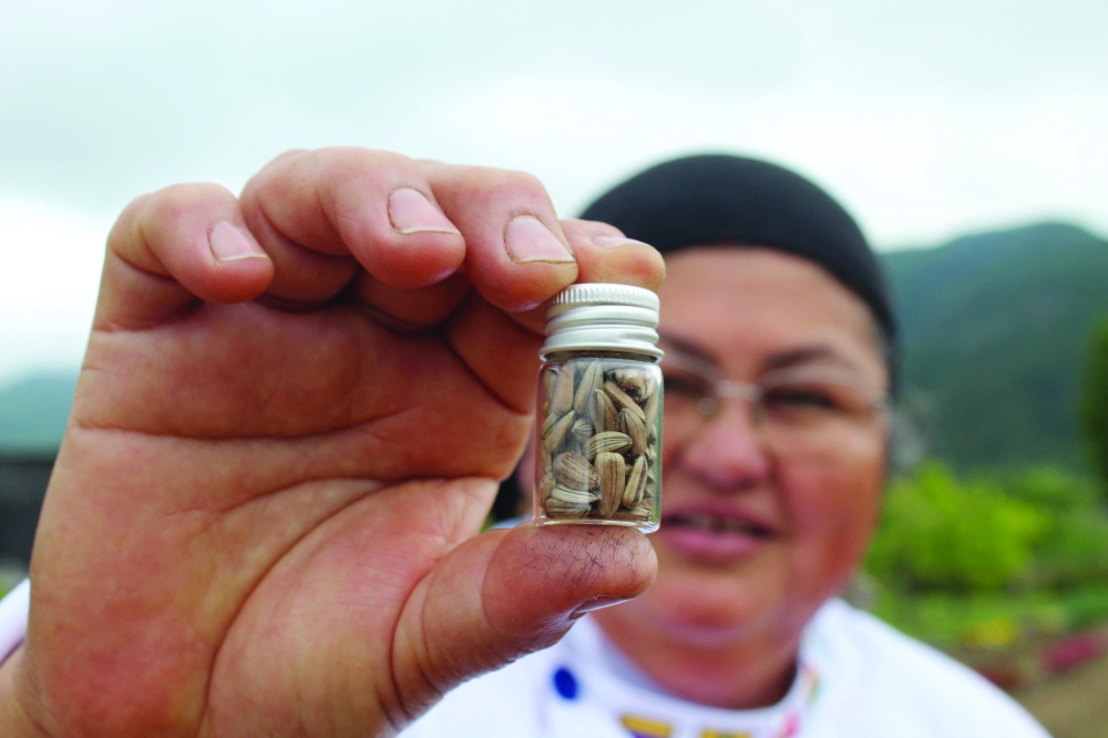 Chile's 'seed guardians' grow and protect forgotten food varieties