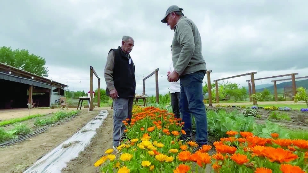 Chile's 'seed guardians' grow and protect forgotten food varieties