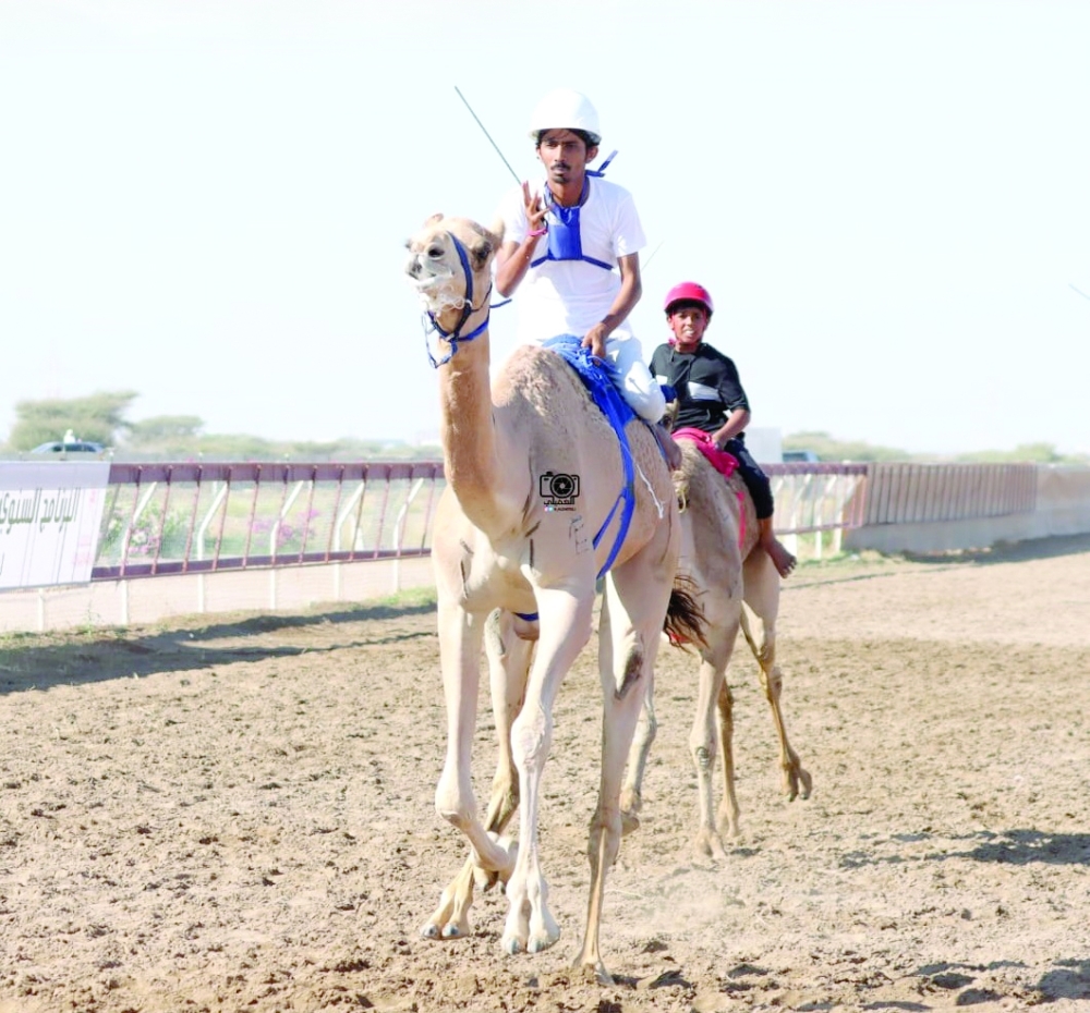 Barka hosts fourth race of Oman Camel Racing season