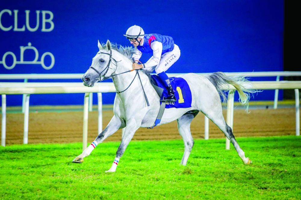 Oman claim gold in World Military Showjumping in Qatar