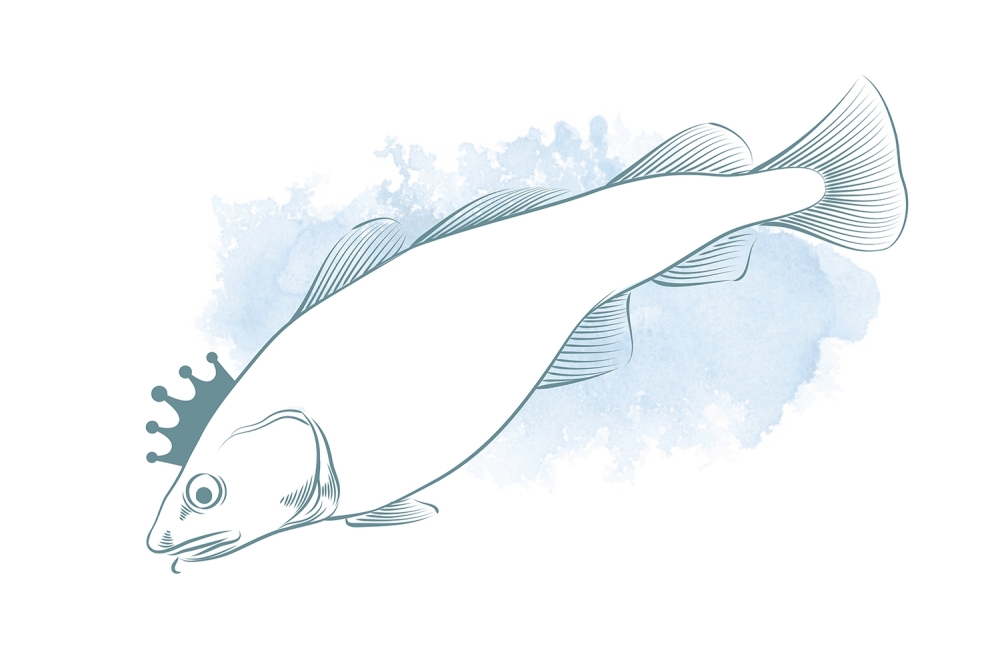 Cod is king in Portugal at Christmas