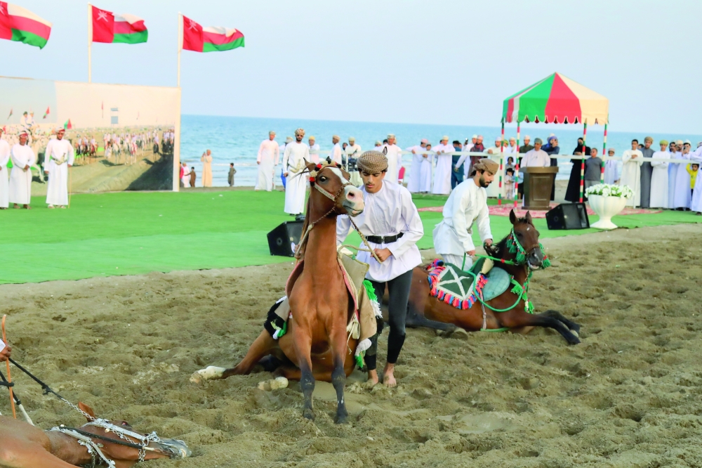 The Traditional Horse Festival commenced in the Wilayat of Saham