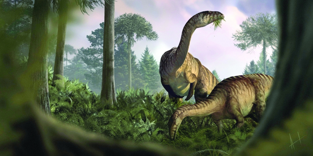 Artistic reconstruction of herbivorous, fern-eating sauropodomorph dinosaurs in the Early Jurassic ecosystem of Soltykow. 