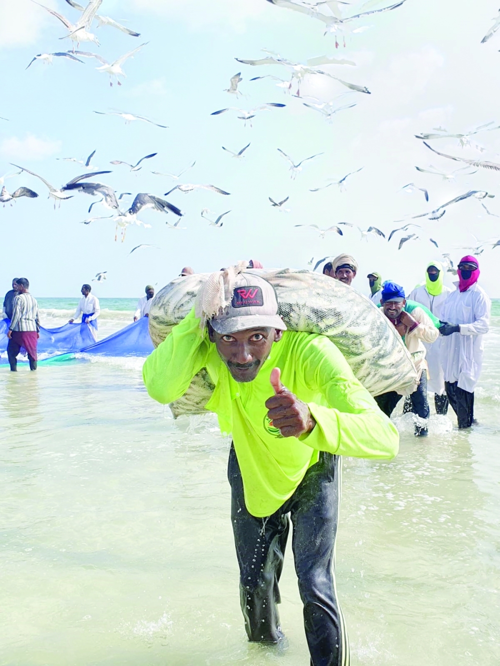 The coastal waters of Dhofar are known for hosting a distinctive variety of sardines