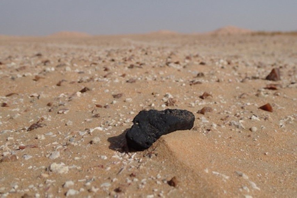 The documentation was made in collaboration with Natural History Museum in Bern, and Curtin University in Australia