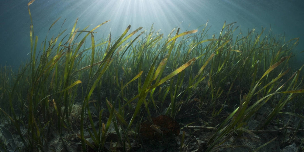 3fcc9f381b8d51203e7aabca43e8c1bb.2-1-super.1