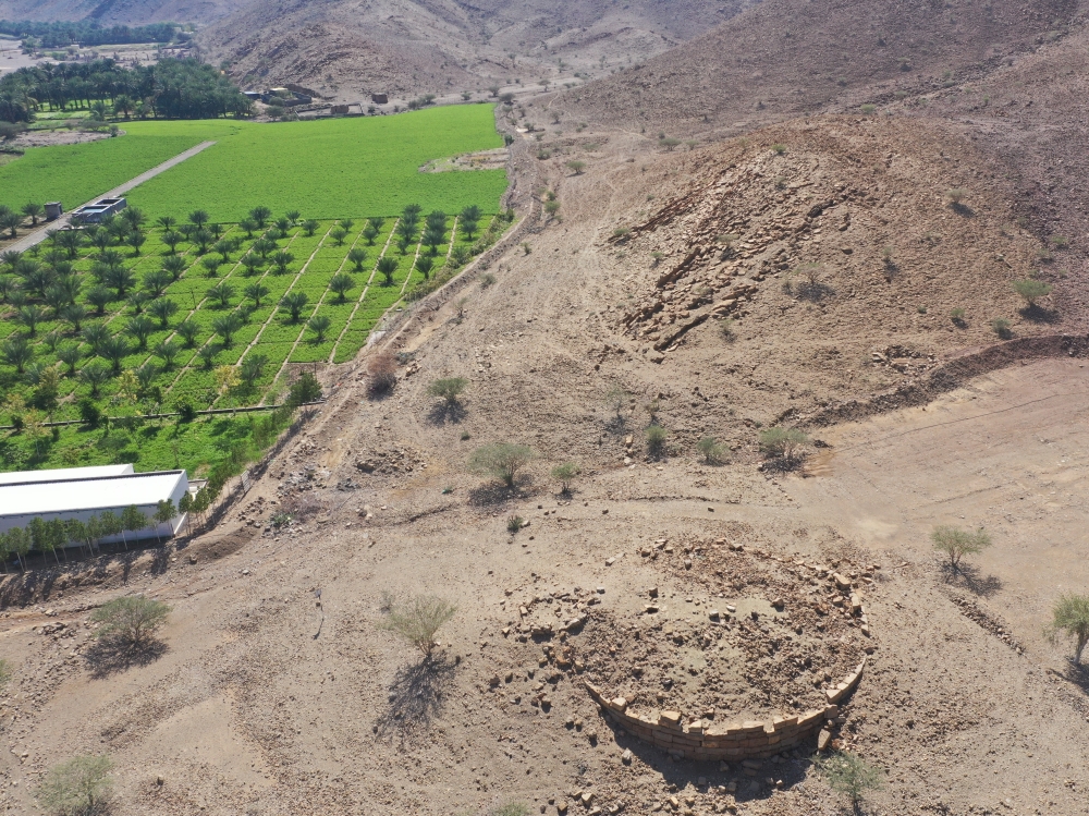 Al-Safri Tower at the fringe of the modern oasis