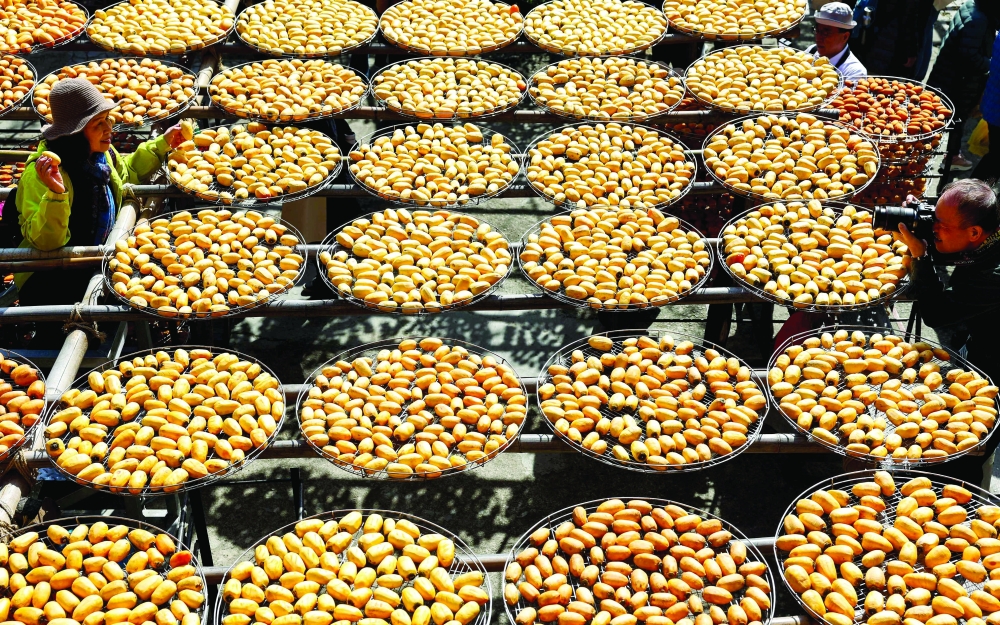 Blooming hard: Taiwan's persimmon growers struggle