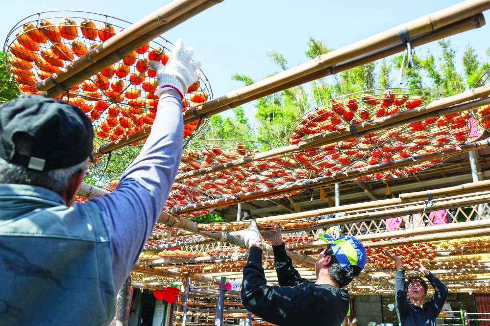 Blooming hard: Taiwan's persimmon growers struggle