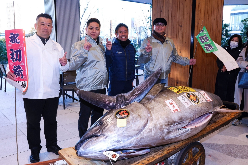 CORRECTION / A bluefin tuna from Oma, Aomori Prefecture, which was purchased earlier in the day for 1.3 million USD, is presented to the media following the first tuna auction of the New Year at Tokyo's Toyosu Market on January 5, 2025. Japan OUT
 (Photo by JIJI PRESS / AFP)

