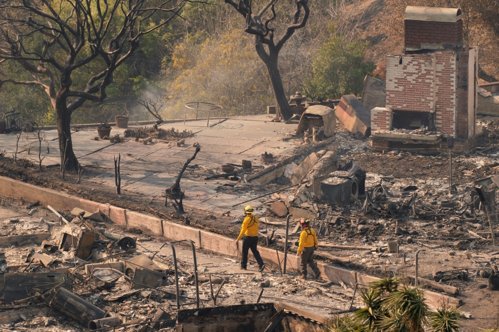 Firefighters survey the remains
