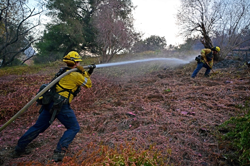 Firefighters work to put out flames in the Mandeville Canyon neighborhood of Los Angeles, California, on January 11, 2025, as the Palisades Fire continues to burn. The Palisades Fire, the largest of the Los Angeles fires, spread toward previously untouched neighborhoods January 11, forcing new evacuations and dimming hopes that the disaster was coming under control. Across the city, at least 11 people have died as multiple fires have ripped through residential areas since January 7, razing thousands of homes in destruction that US President Joe Biden likened to a "war scene." (Photo by AGUSTIN PAULLIER / AFP)

