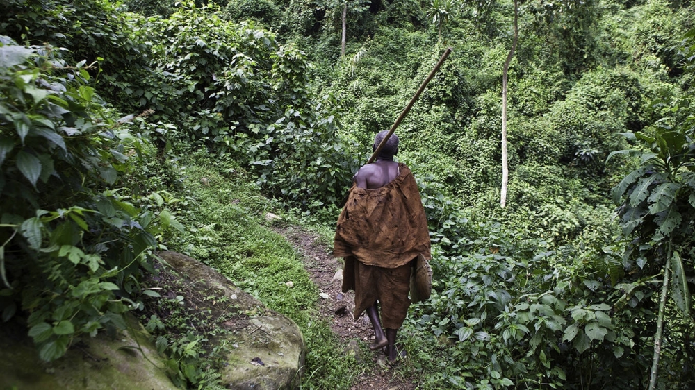 At least 420 million hectares of forest globally have been lost to deforestation since 1990, causing biodiversity loss to accelerate and fueling climate volatility.