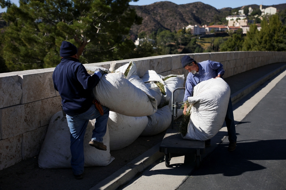 /FW1HFS/Sonia Cheema