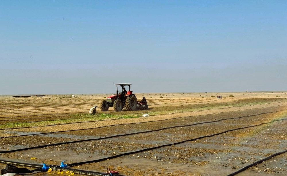 These initiatives, covering 3,000 acres and valued at RO 7.5 million, aim to bolster food security and reduce imports.