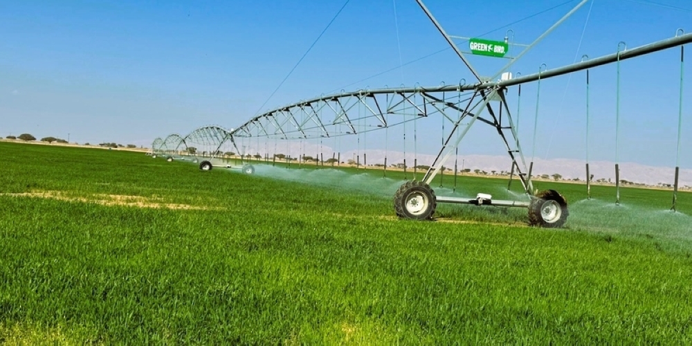 The red onion project in Dhank, specifically, serves as a model for expanding onion cultivation across the Sultanate
