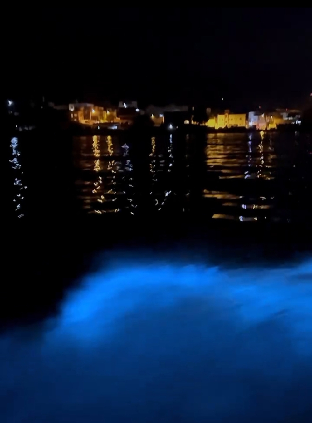 Screenshot_20250119_183753_Video Player