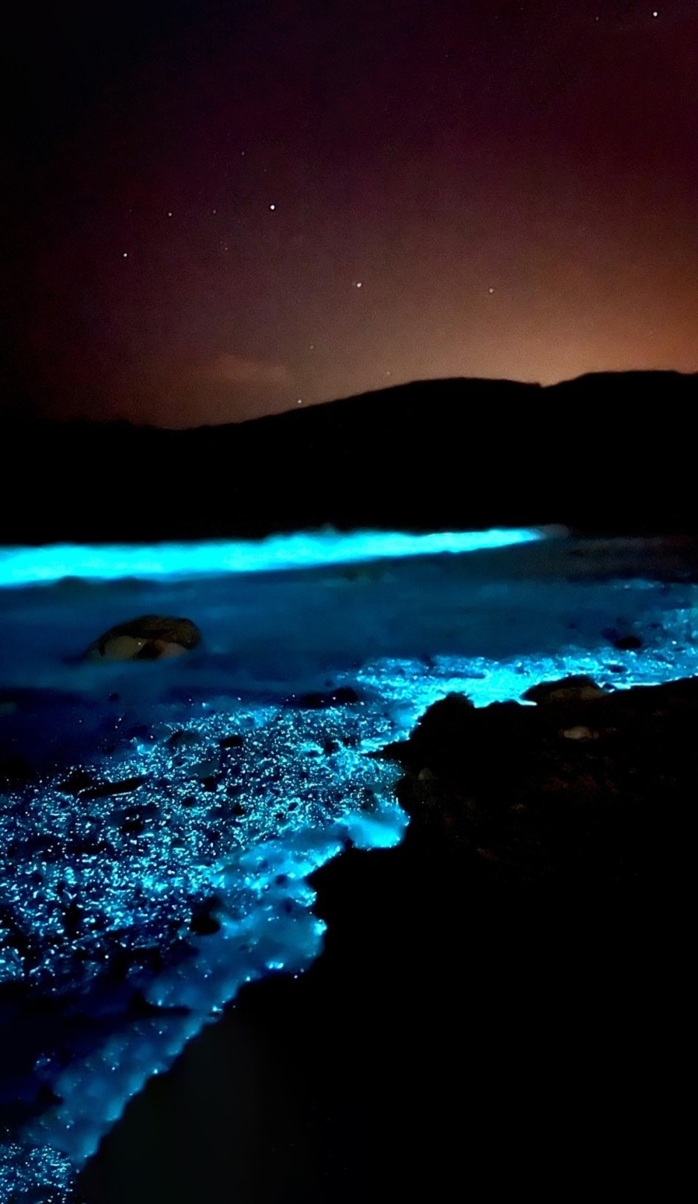 Snapinst.app_474143188_1432399184385178_3421878007681966638_n_1024