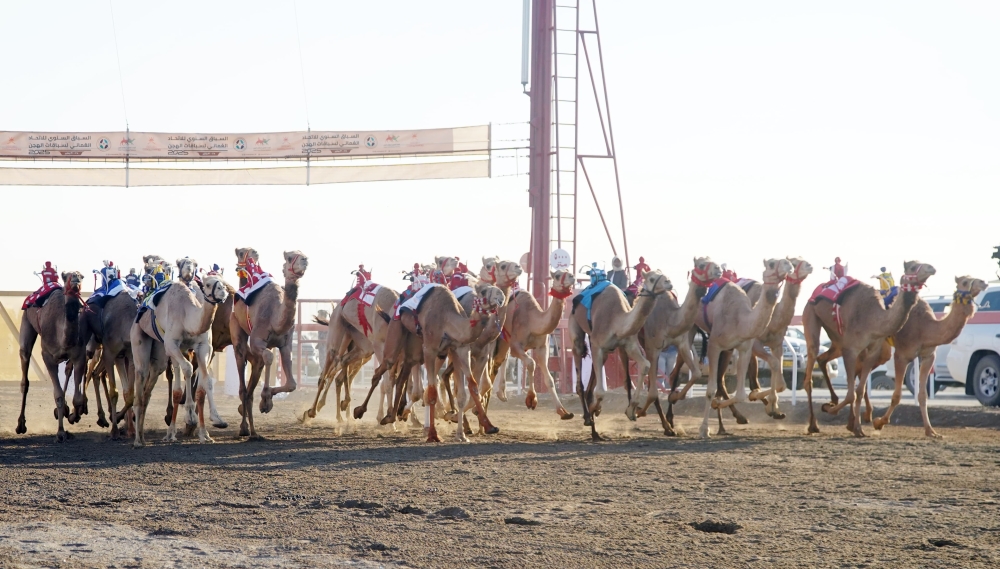 On the fifth day, competitions continued with 12 rounds over a distance of 8 km