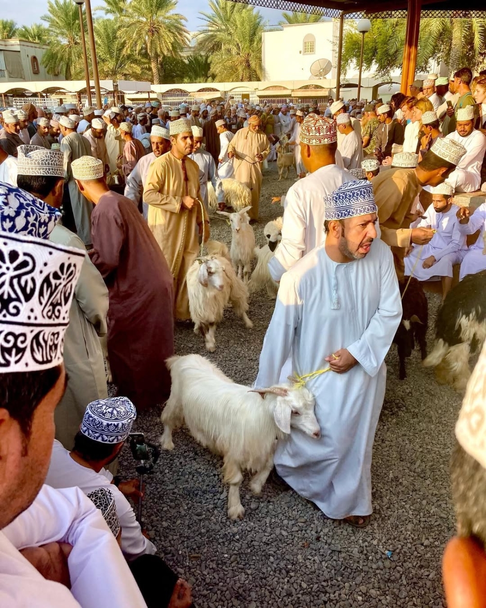 The Enchanting Goat Market Experience