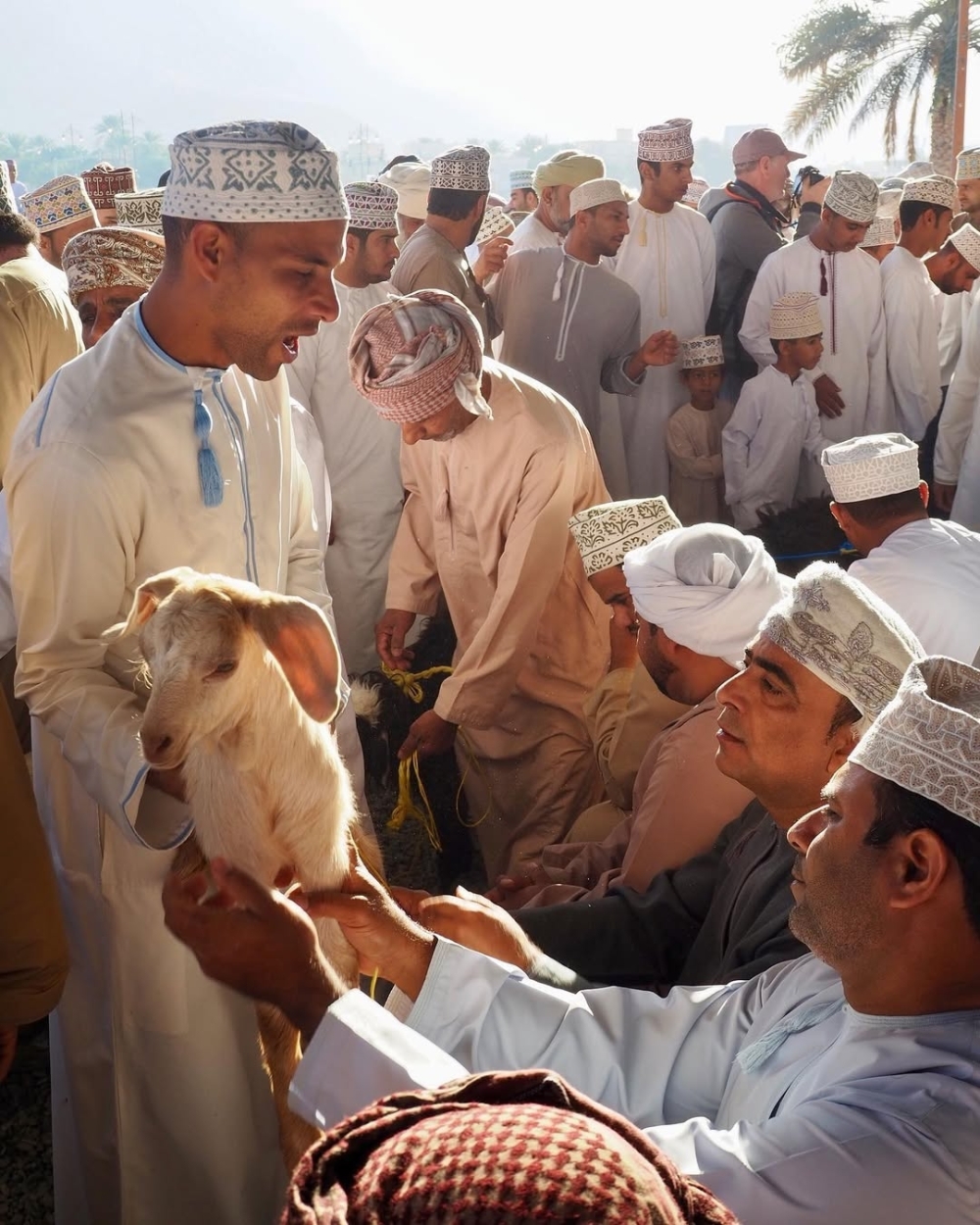 The Enchanting Goat Market Experience