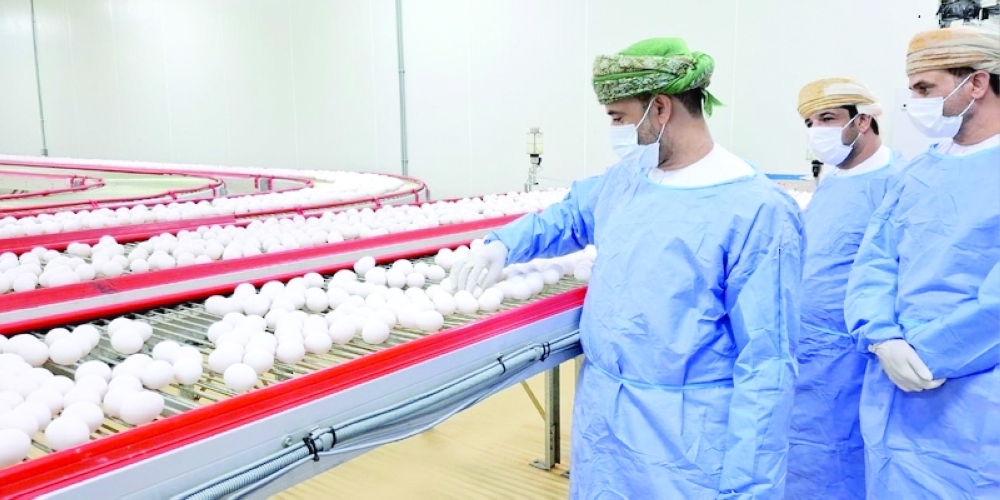 These projects are a major step toward enhancing food security and promoting sustainable development in the governorate.