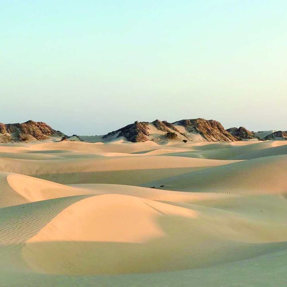 Considering a camping adventure? The Sugar Dunes shouldn’t be missed