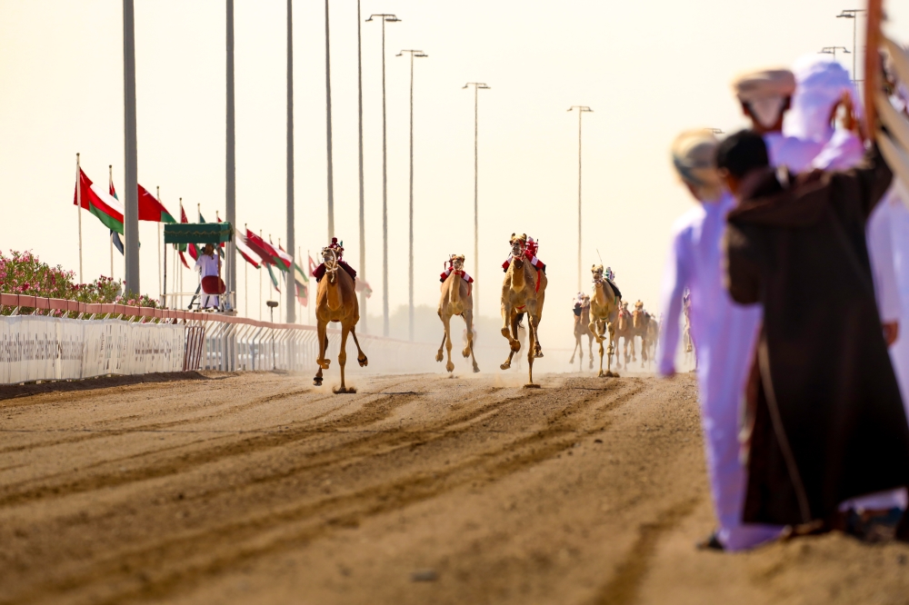 Race action during the fourth day of Al Bashayer Festival.