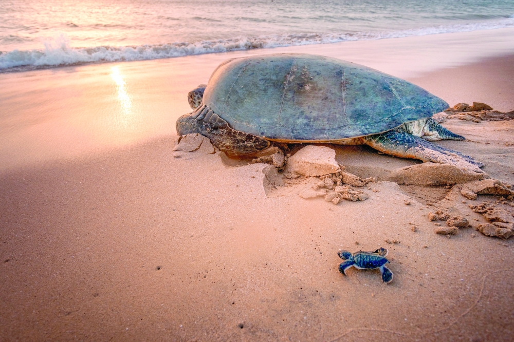 An ideal destination for visitors who wish to enjoy warm sunshine during winter.