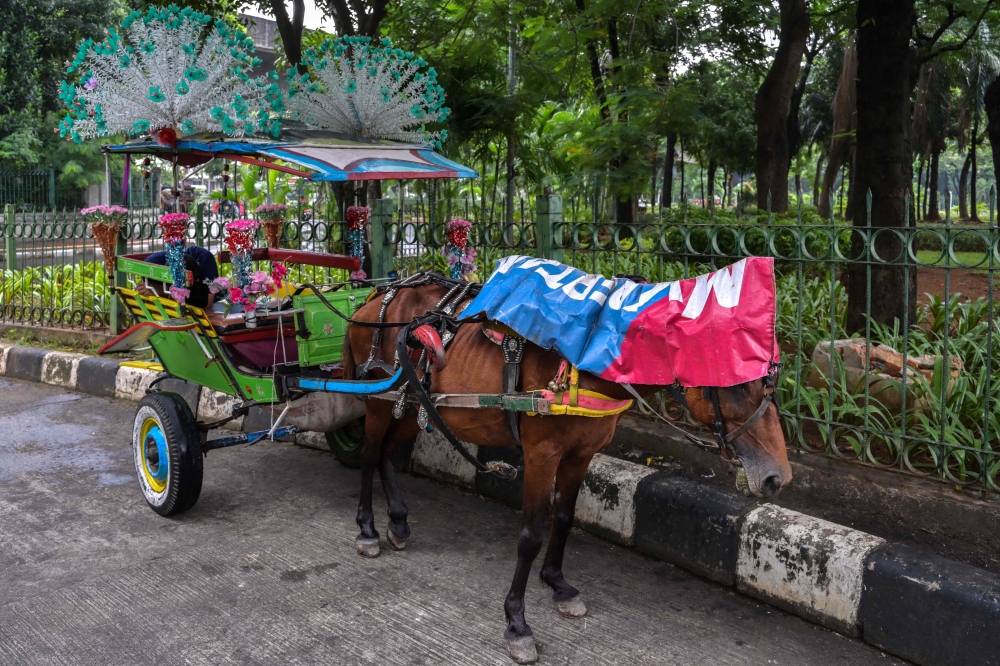 A horse-drawn carriage driver lies down while waiting for passengers near the National Monument (Monas) park in Jakarta