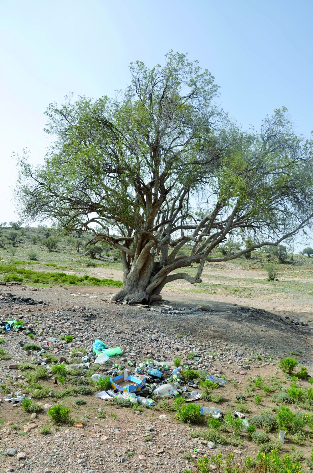 Protecting Our Beautiful Oman: Combating Litter and Irresponsible Attitudes