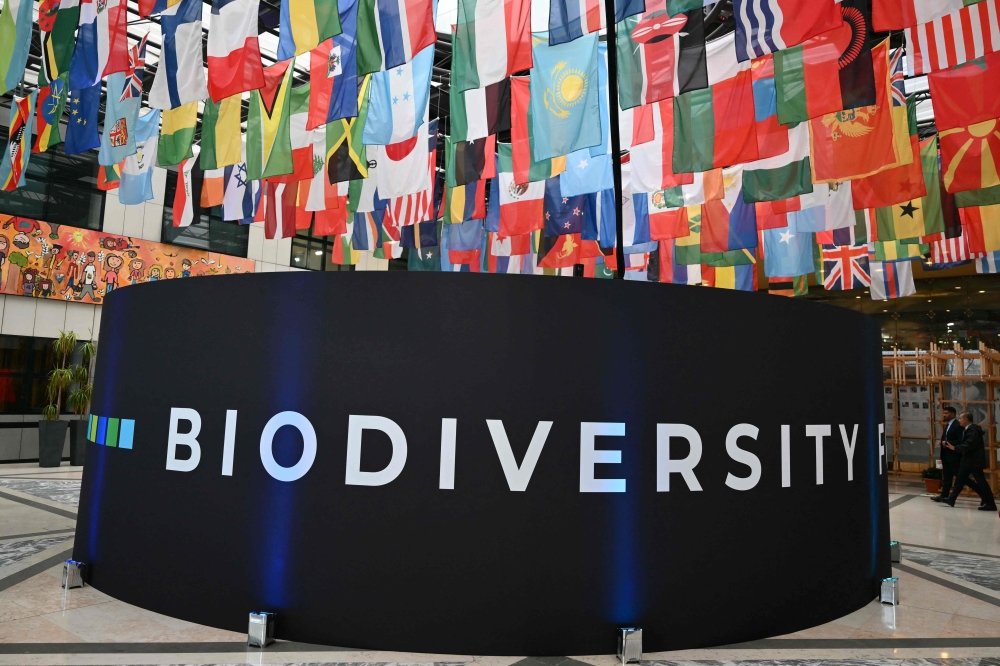 Picture of an installation with flags of countries attending the COP16 biodiversity conference at the UN's Food and Agriculture Organization (FAO) headquarters in Rome on Tueseday. — AFP
