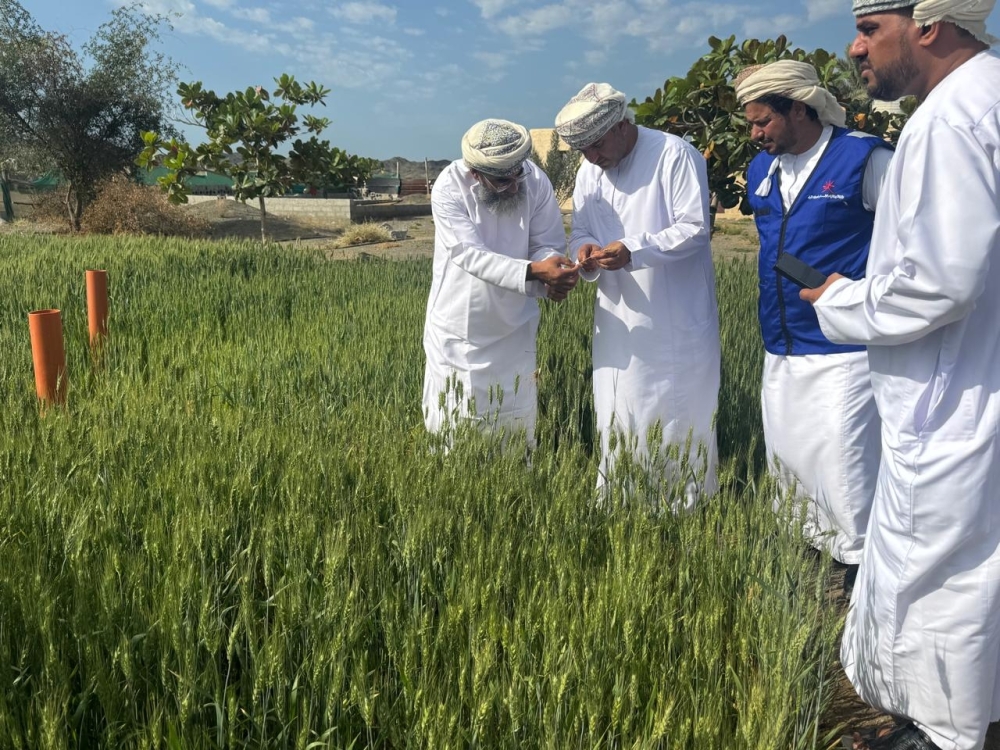 The initial results showed remarkable success, which confirms the suitability of the soil and climate for this type of crop.