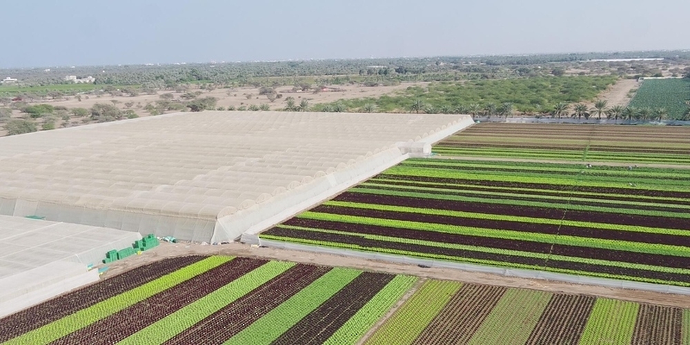 Economic diversification is the cornerstone of Oman’s economic strategy, and its benefits have begun to materialise. 