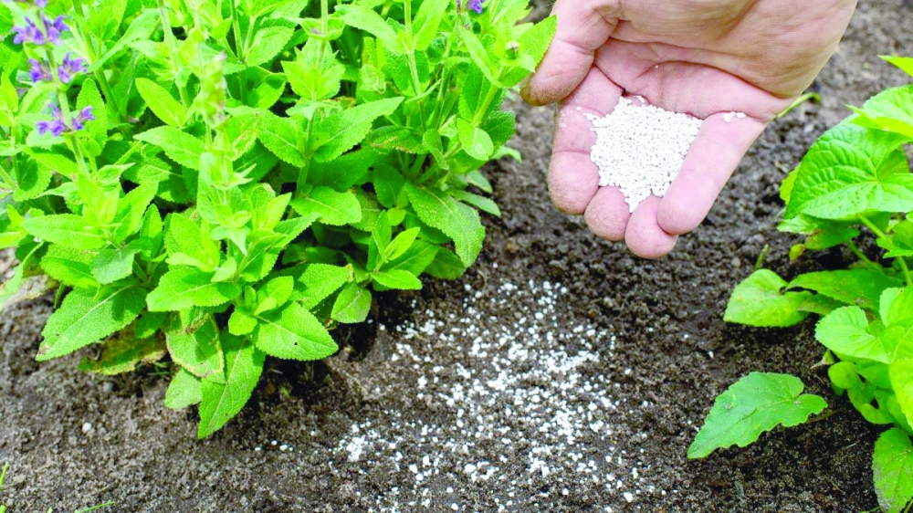 The research explores the conversion of marble waste into precipitated calcium carbonate. Image for illustration only.