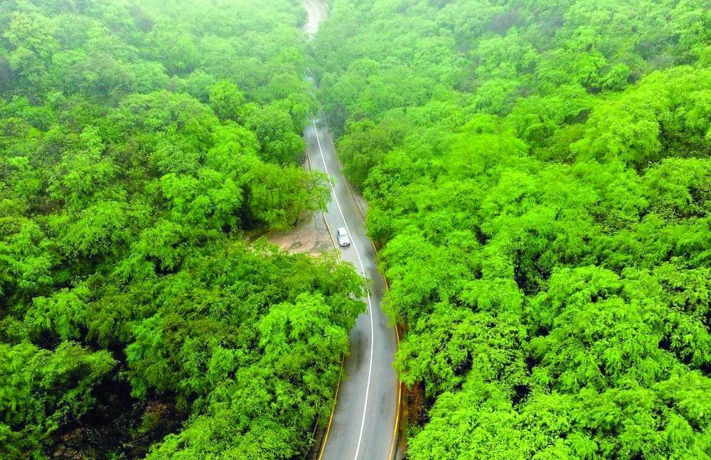 The government works to promote the use of clean energy, expand afforestation projects and develop waste management systems, ensuring a healthy and clean environment