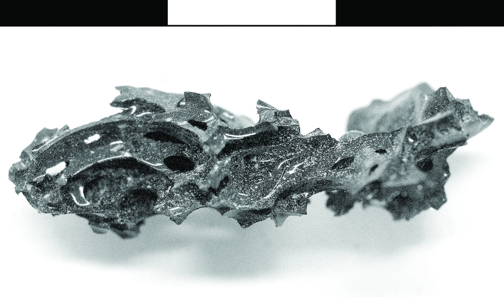 A fragment of organic glass found inside the skull of a victim of the eruption of Mount Vesuvius in A.D. 79. (Pier Paolo Petrone via The New York Times)