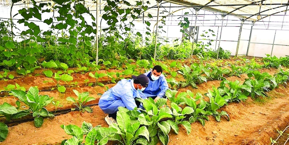 Shinas Farm empowers students with disabilities